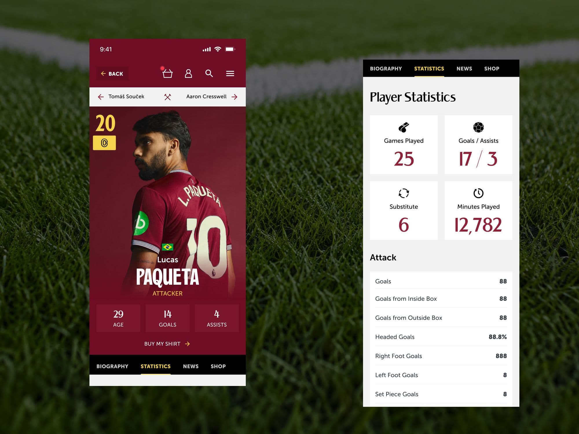 Player profile and statistics