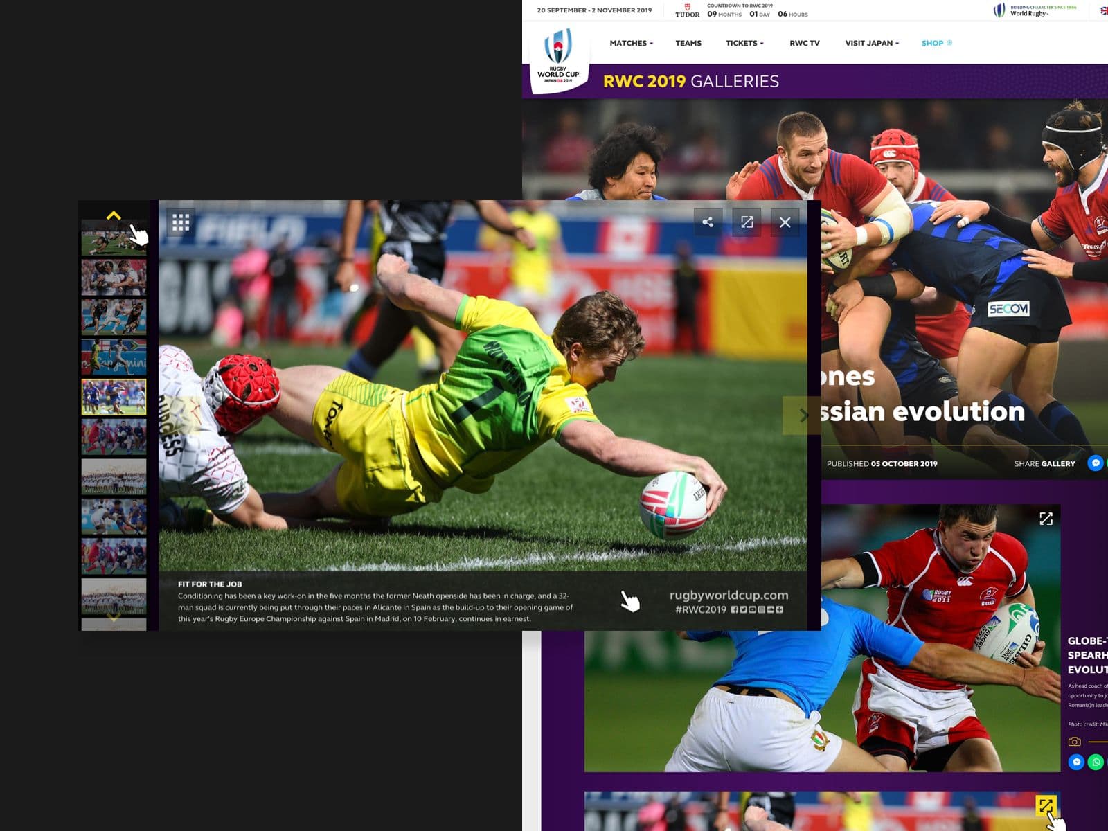 Rugby World Cup 2019